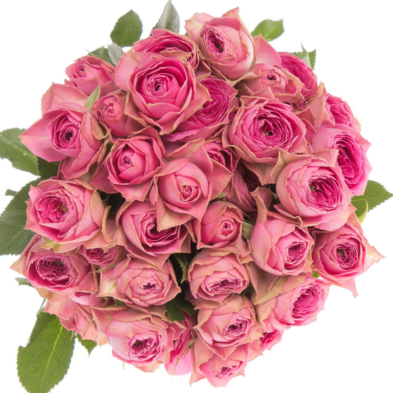 Пінк Біжу (Pink Bijoux)