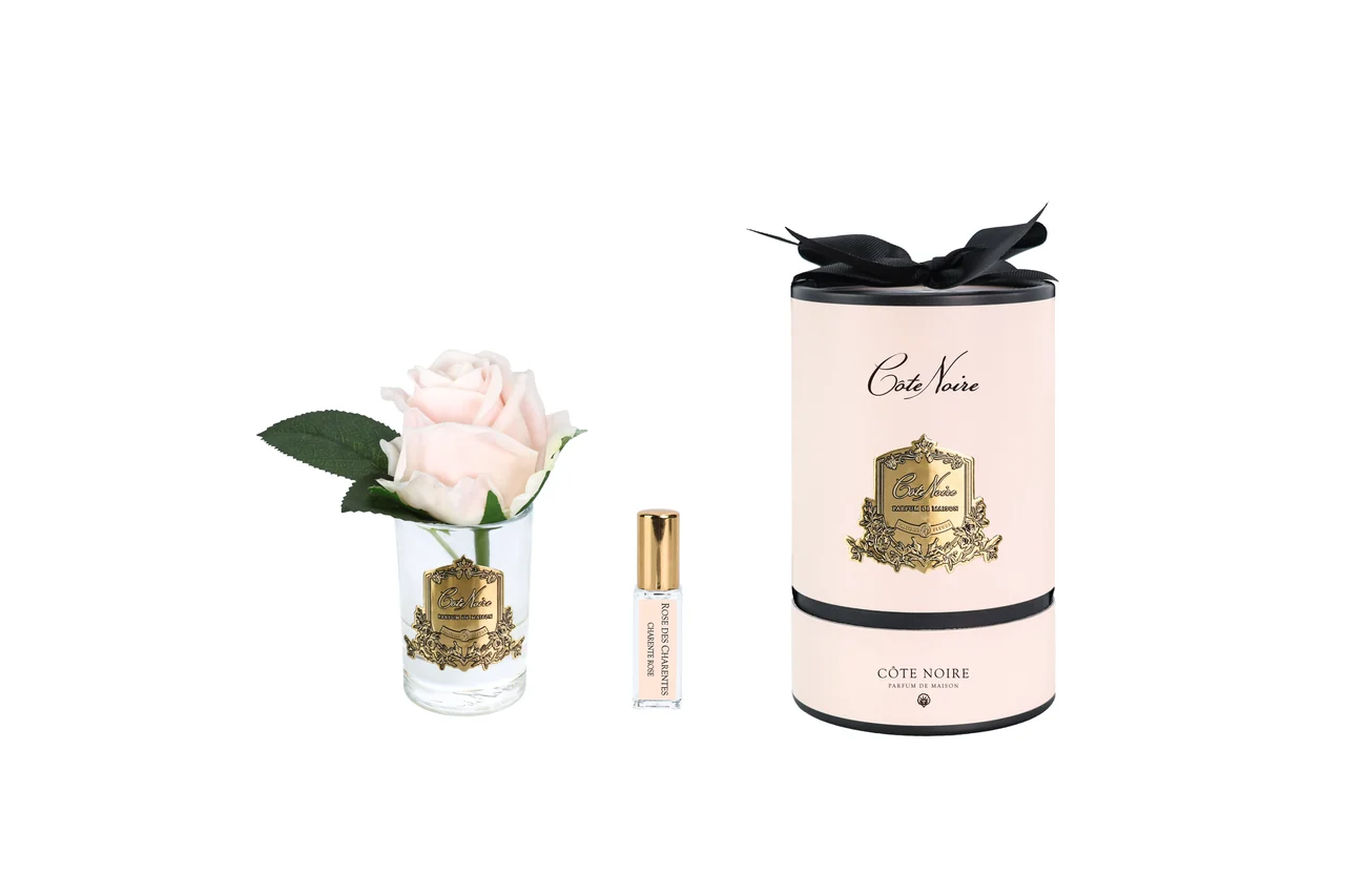 Аромаквіти Cote Noire Rose Bud Champagne Pink & Clear Glass — ароматична рожева троянда у скляній вазі