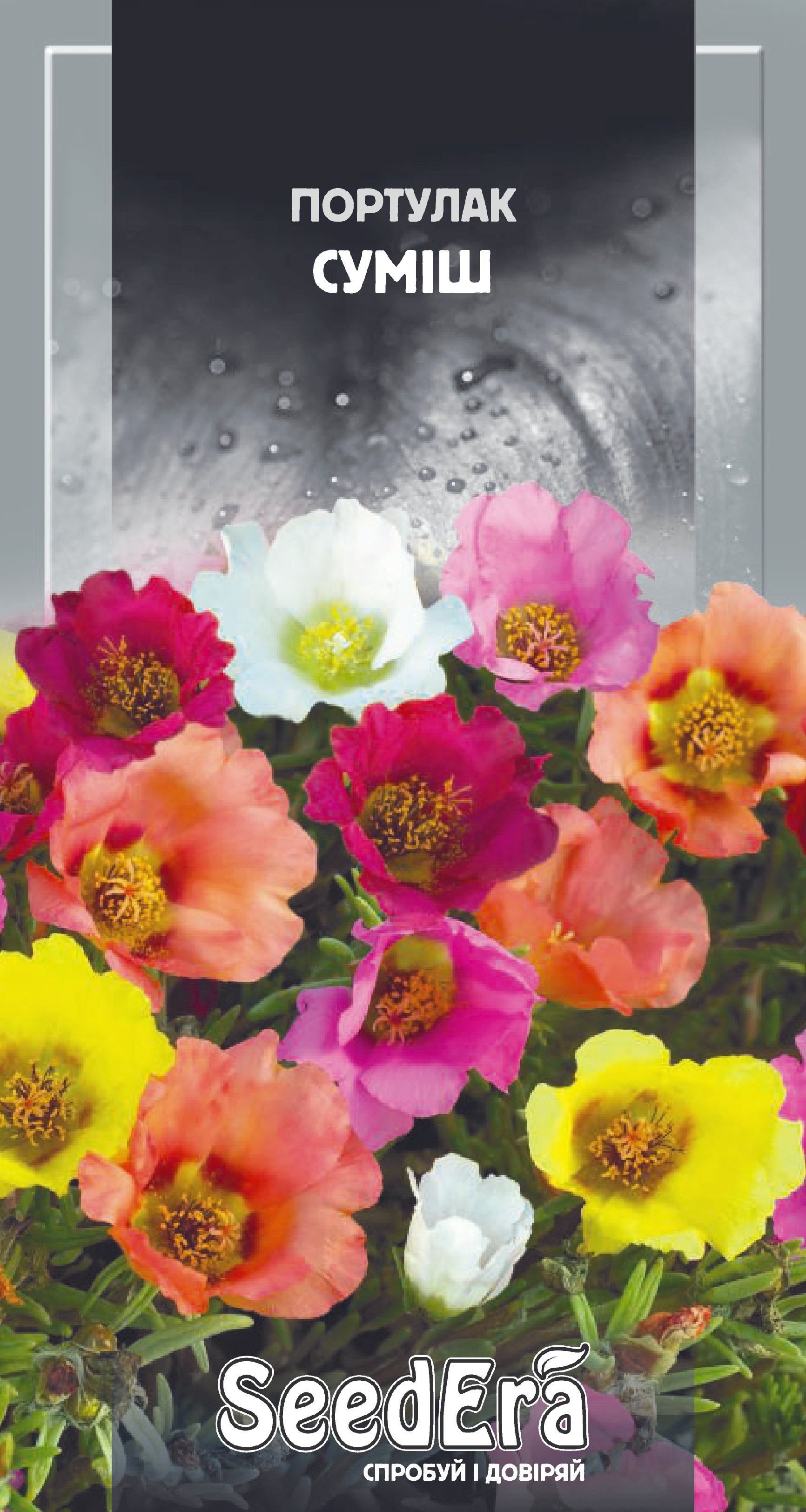 Насіння Квіти Портулак суміш, 0,1 г