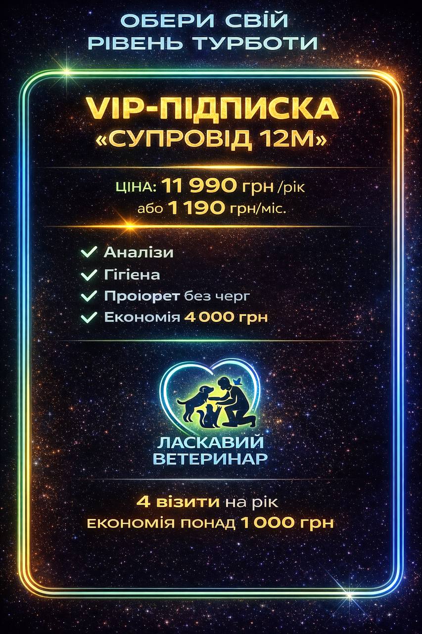 ПАКЕТ VIP-ПІДПИСКА "СУПРОВІД 12М"