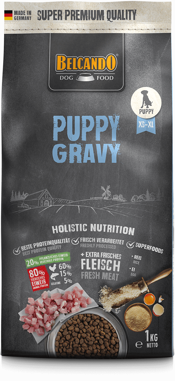 Puppy Gravy