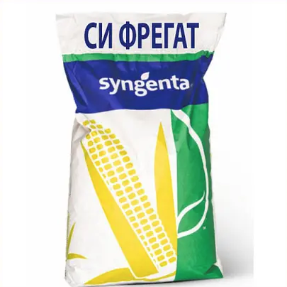 Насіння кукурудзи СИ Фрегат Syngenta Кукурудза високої врожайності та стресостійкості