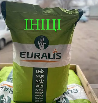 Насіння кукурудзи гібрид ЄС Ініці ФАО 360 Кукурудза високої врожайності