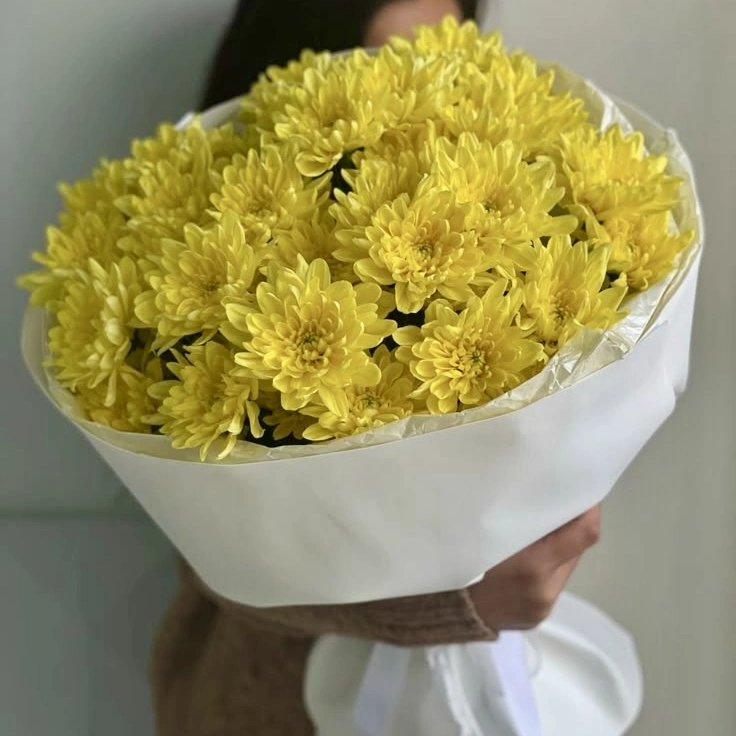 Аромат затишку
