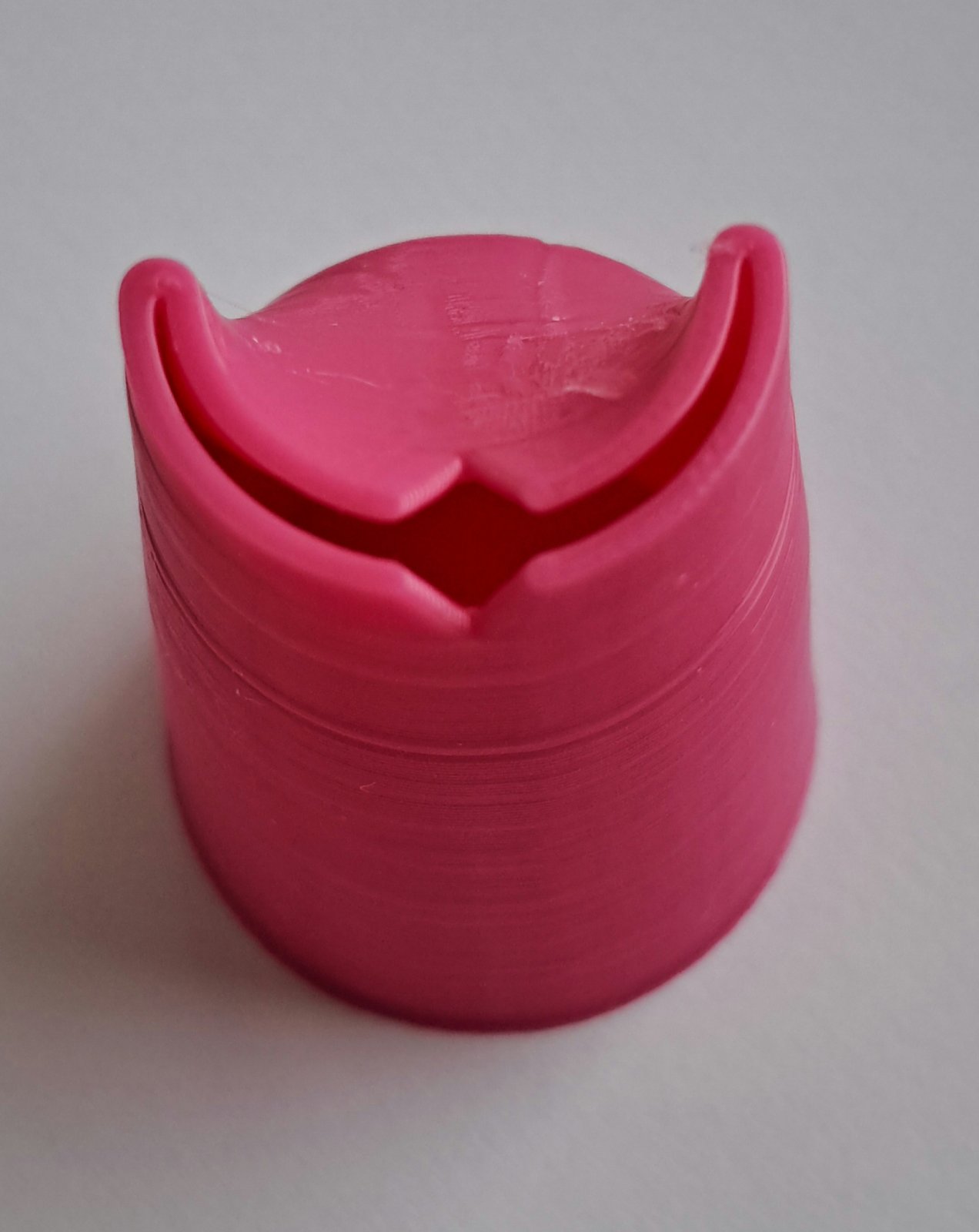 Пелюстка соняшника 2 см