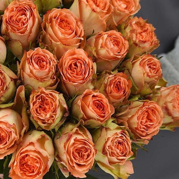 Кантрі Хоум — Country Home