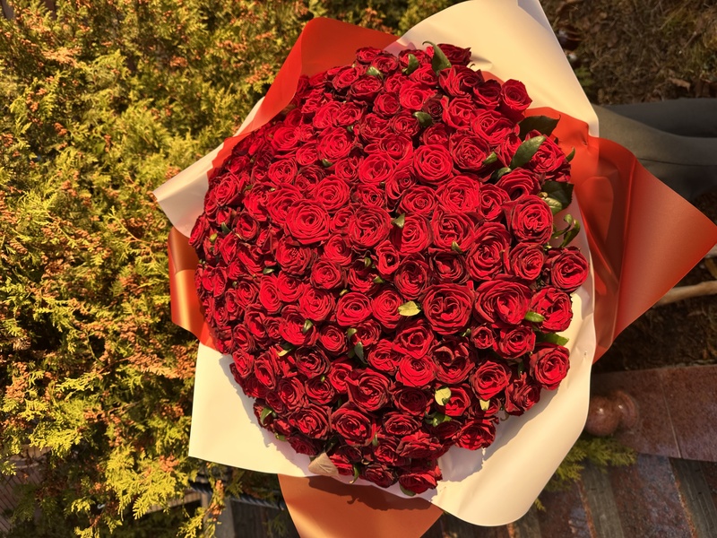 151 червона троянда "Гран Прі"