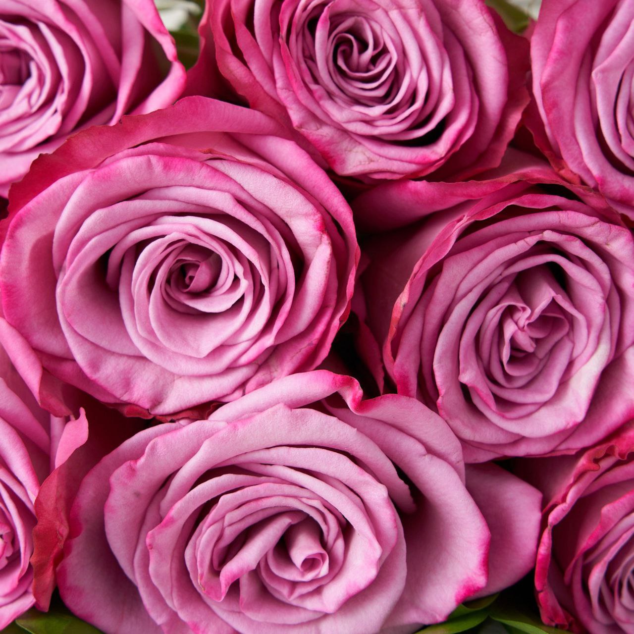 Піачере (Piacere)