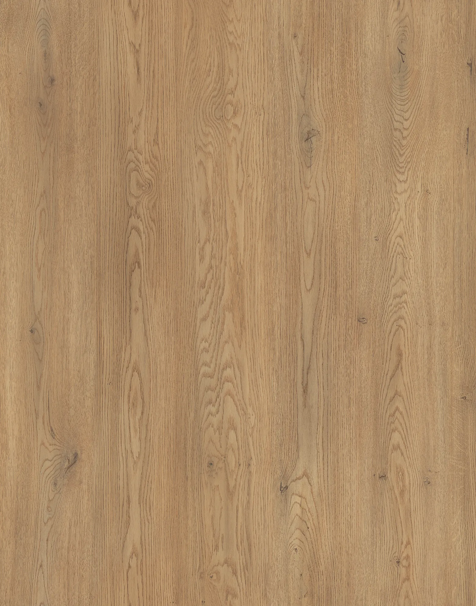 Дуб Кремона Торро