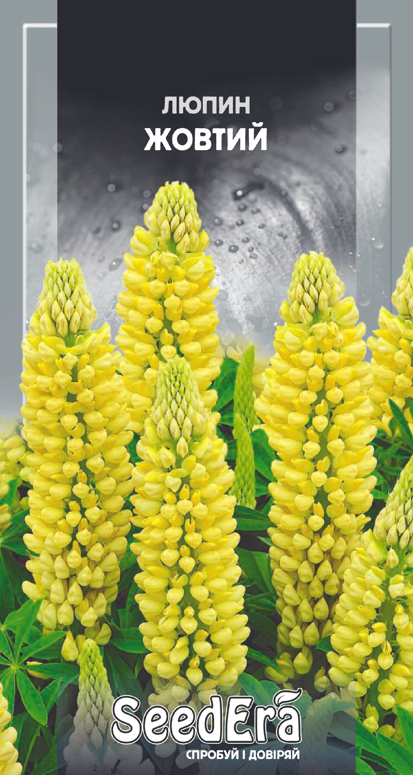 Насіння Квіти Люпин жовтий багаторічний, 0,5 г.