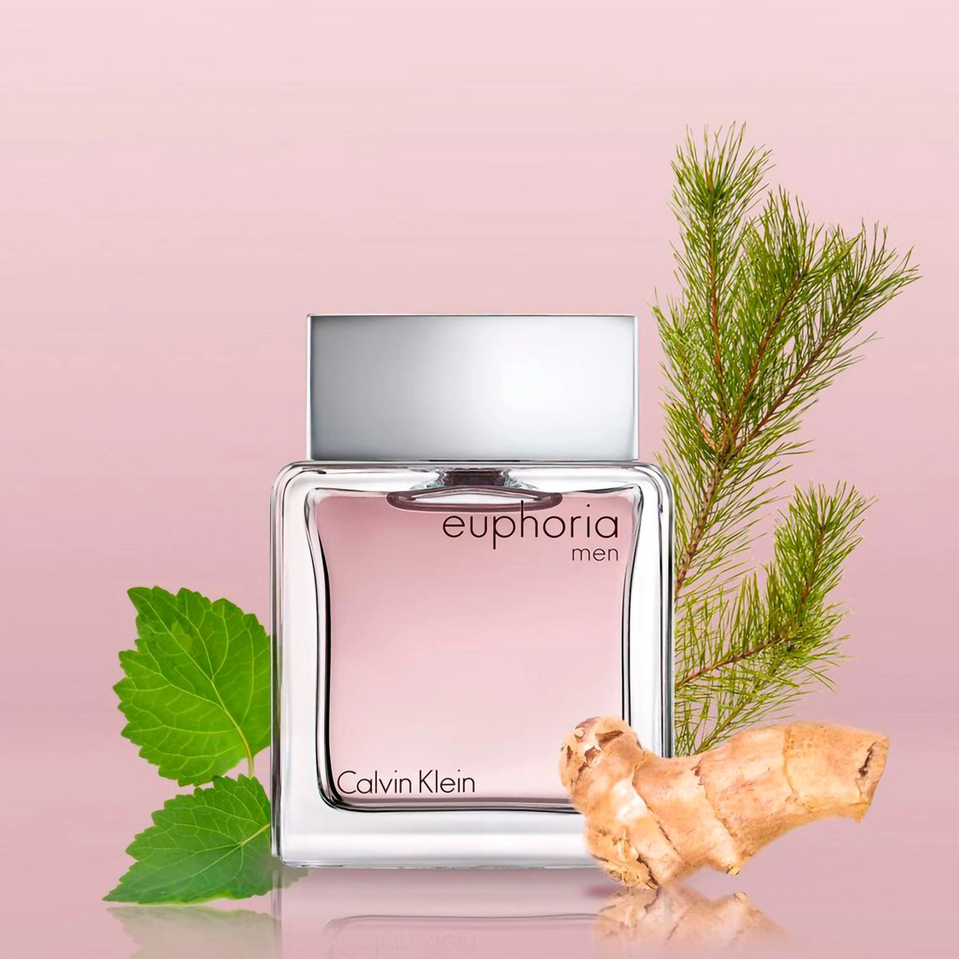 Міні 245 Альтернатива EUPHORIA MEN / CALVIN KLEIN