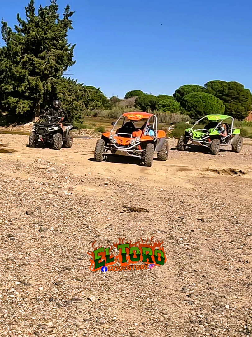 Buggy El Toro 1H