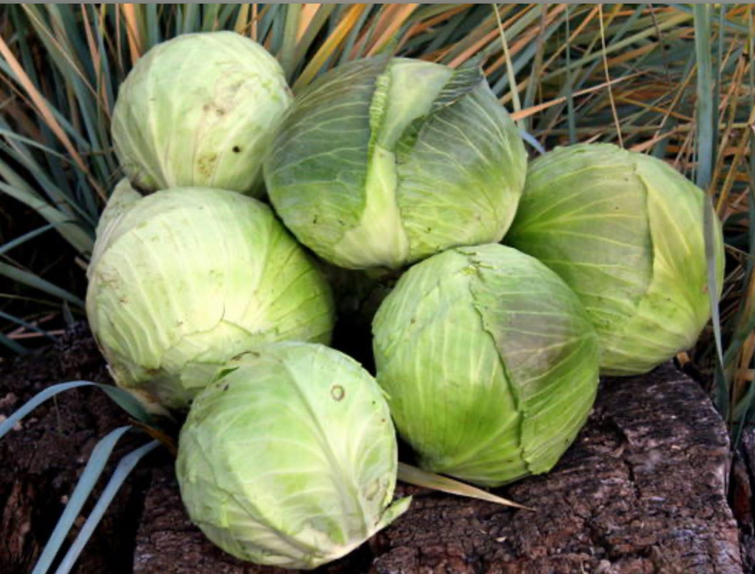 Капуста камʼяна гора 20 г