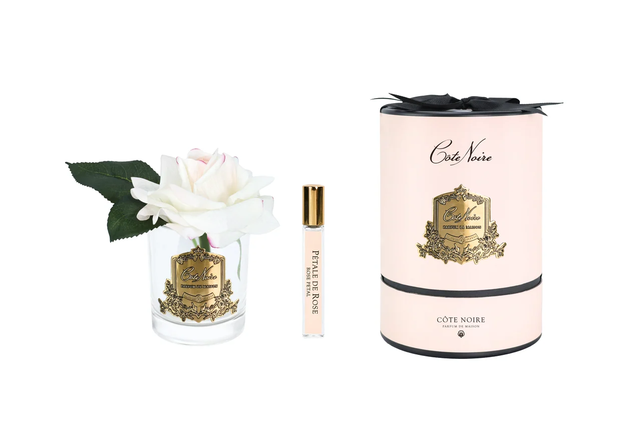 Аромаквіти Cote Noire French Rose Blush & Clear Glass - ароматична ніжно-рожева троянда у прозорій скляній вазі