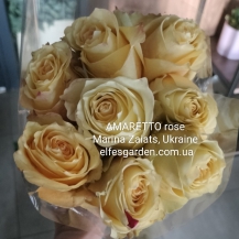 АМАРЕТТО( Amaretto) зрізочна новинка