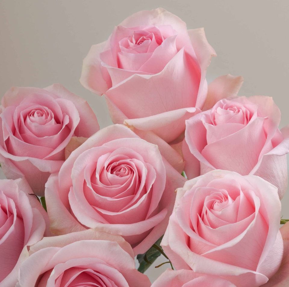 Лучіано (Luciano)