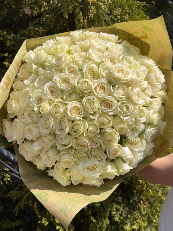 101 біла троянда "Аваланч"