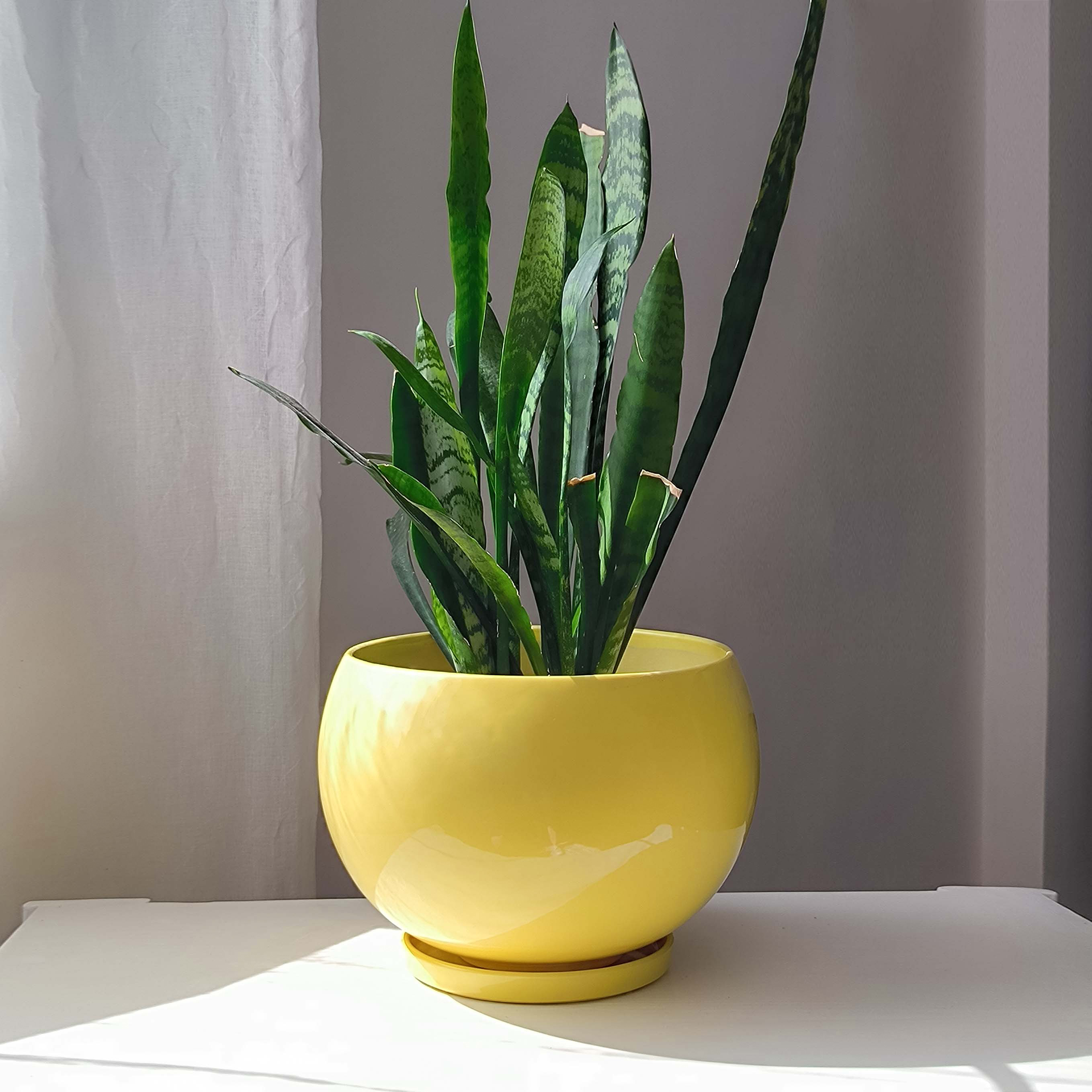 Горщик для квітів керамічний Куля 7,7 Л Жовтий p014