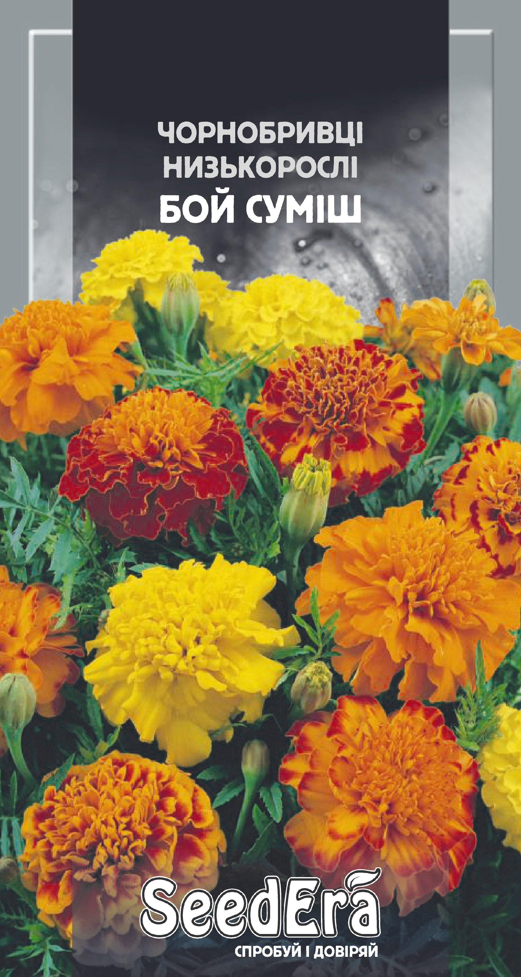 Насіння Квіти Чорнобривці низькоросла Бой суміш, 0,3 г