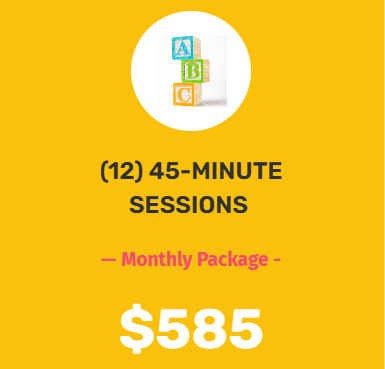 (12) 45-MINUTE Sessions - Monthly Package