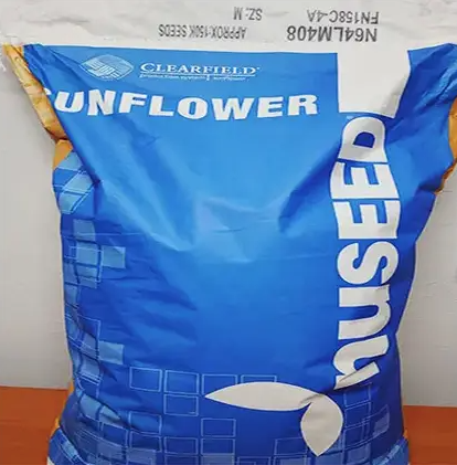 Насіння соняшнику Х4219 Nuseed, насіння високоврожайного соняшнику Нусід