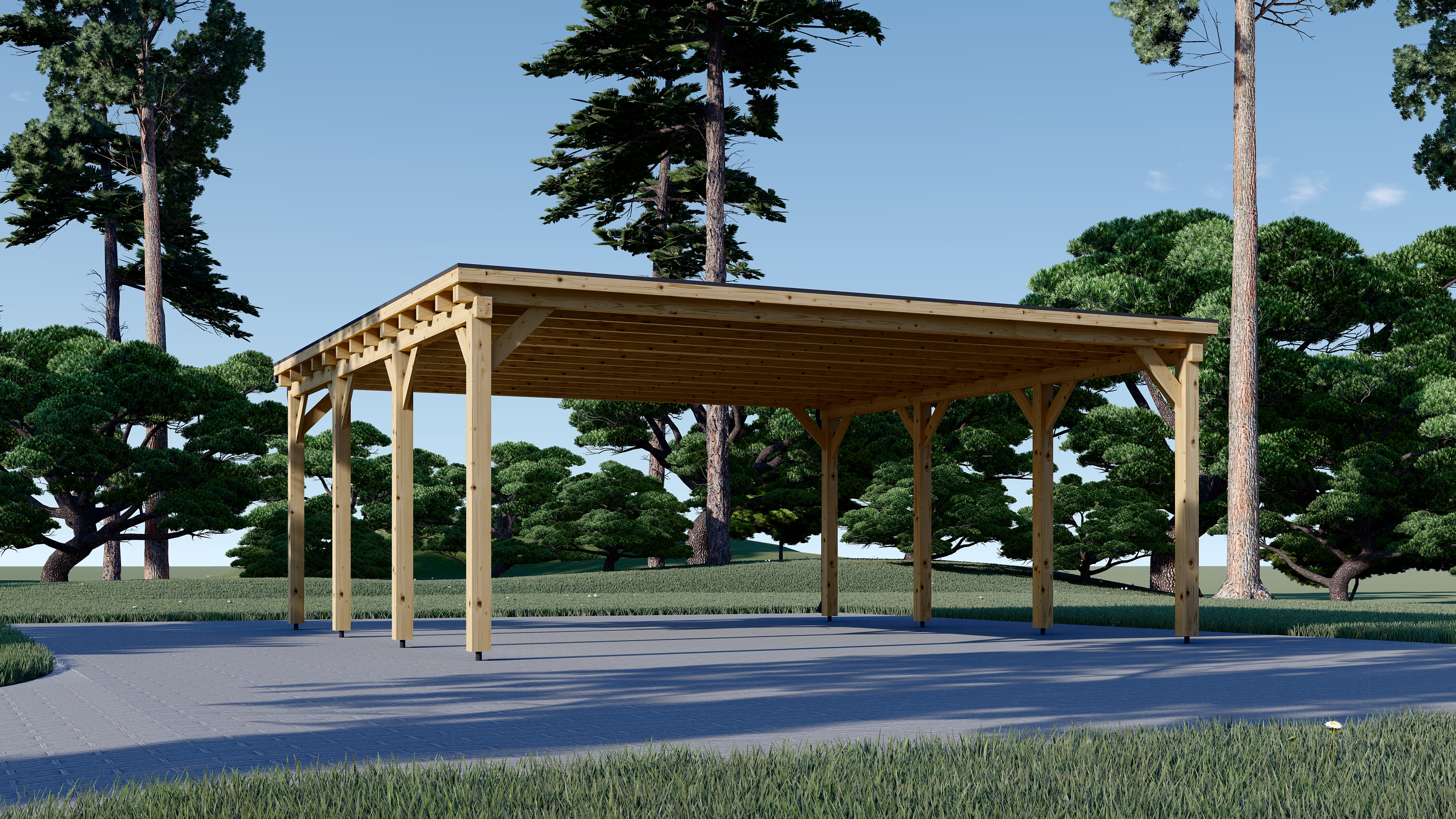 Pérgola para coches Hanoy 6x6