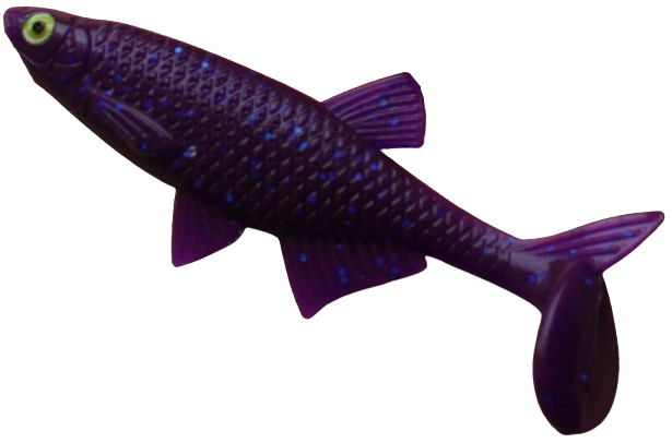 Alburnus Shad 4.2
