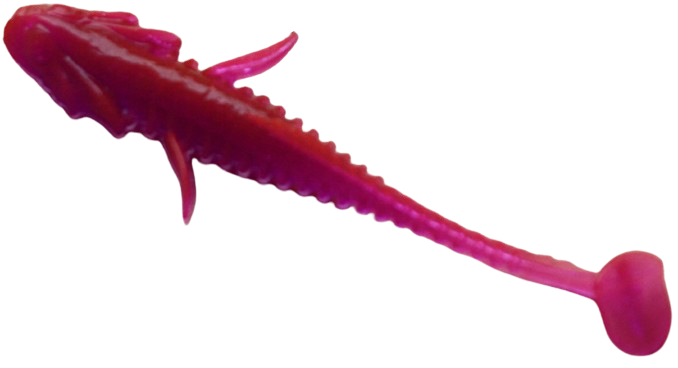 Дракончик 2.5