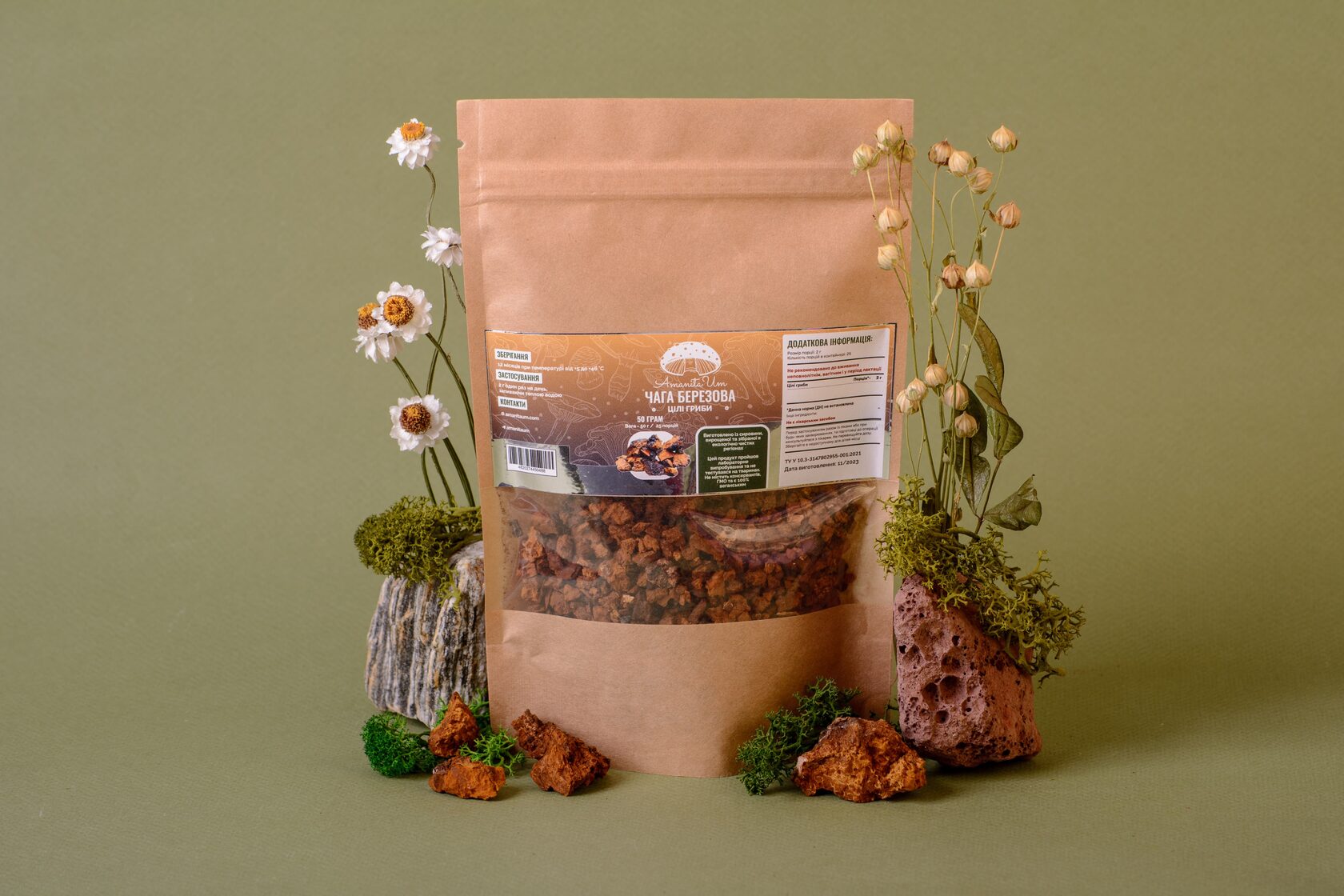 Чага березова, ціла