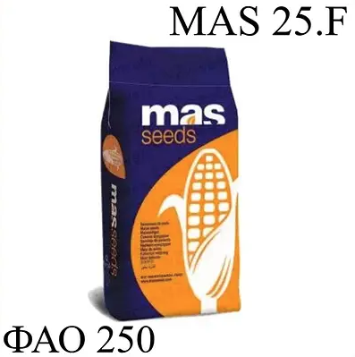 Насіння кукурудзи MAS 25.F Майсадур ФАО 250 Кукурудза високої врожайності