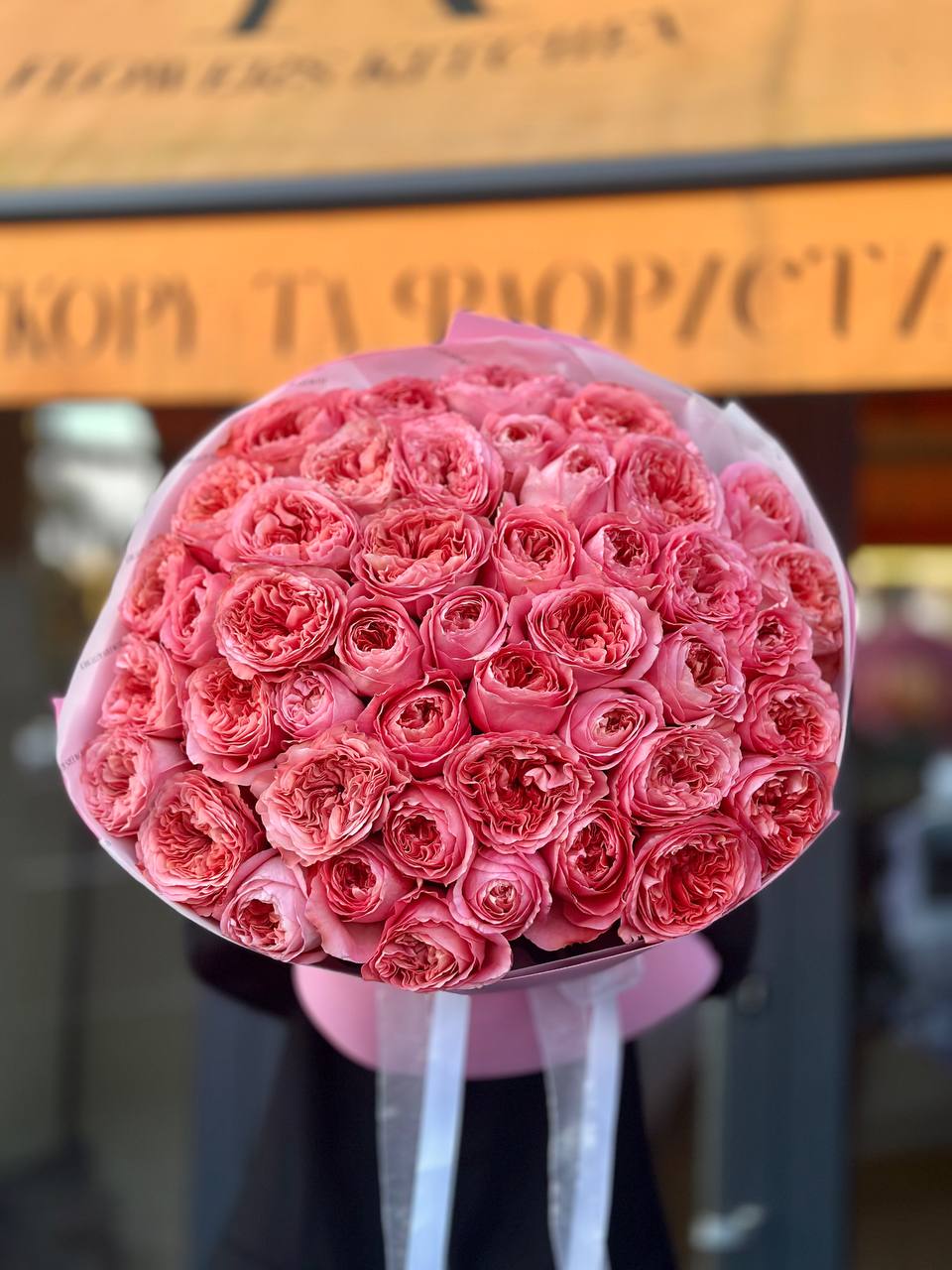 51 піоновидна троянда сорту Candy Expression