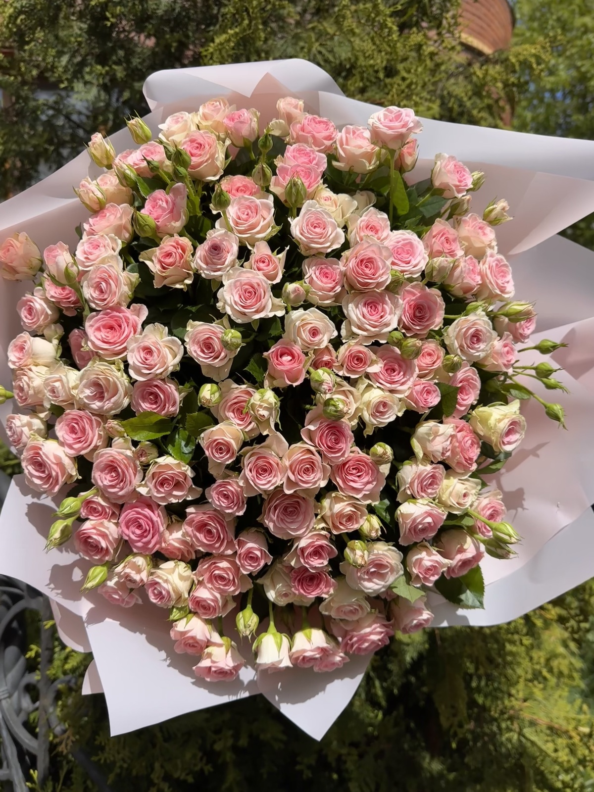 101 гілкова троянда "Гуд Муд"