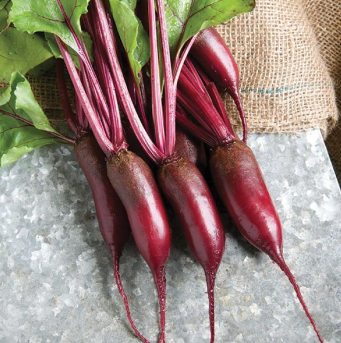 Буряк карілон f1 200 насінин