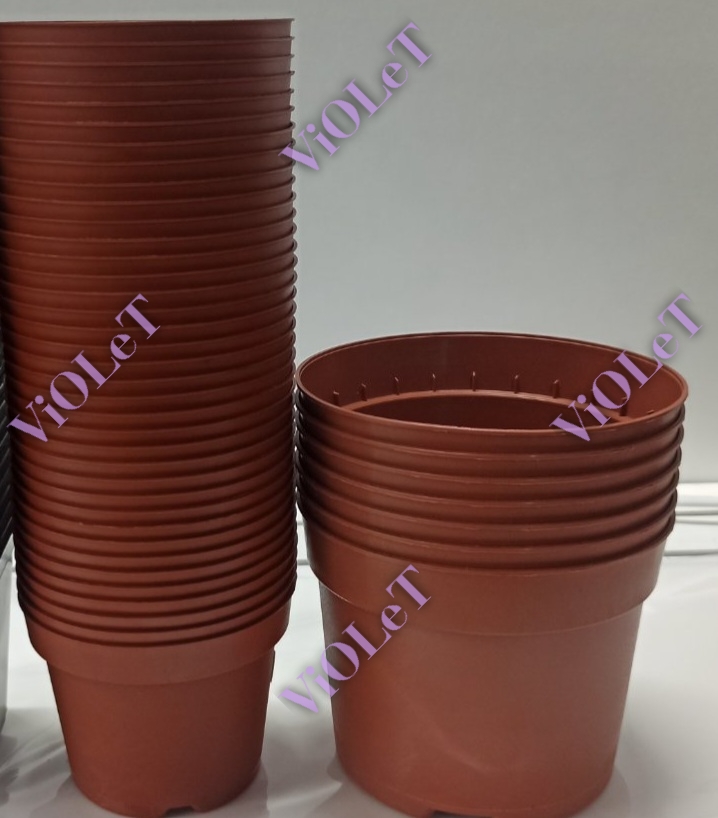Горщик для розсади, Kloda