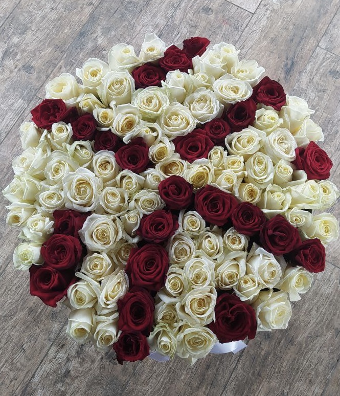 Коробка з 101 червоної та білої троянди