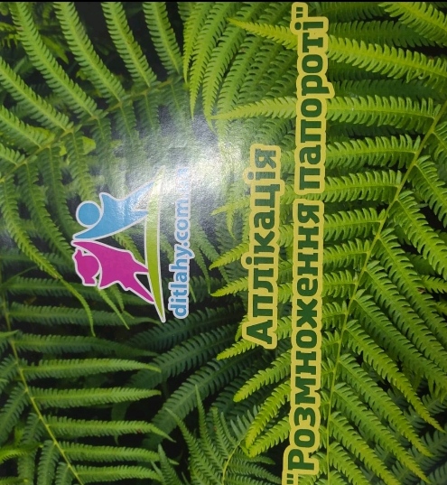 Аплікація Розмноження папороті".