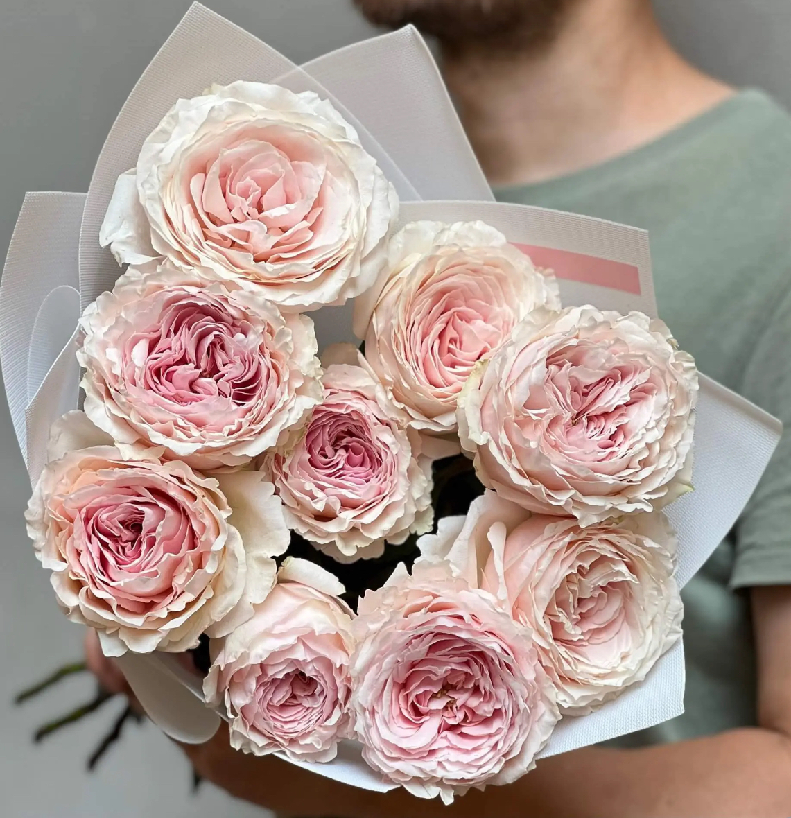 Троянда цумугі 2 р(ЗКС)