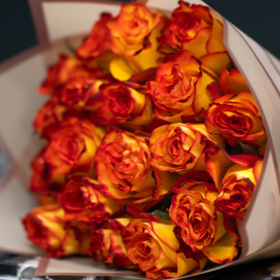 Firefox — Фаєрфокс