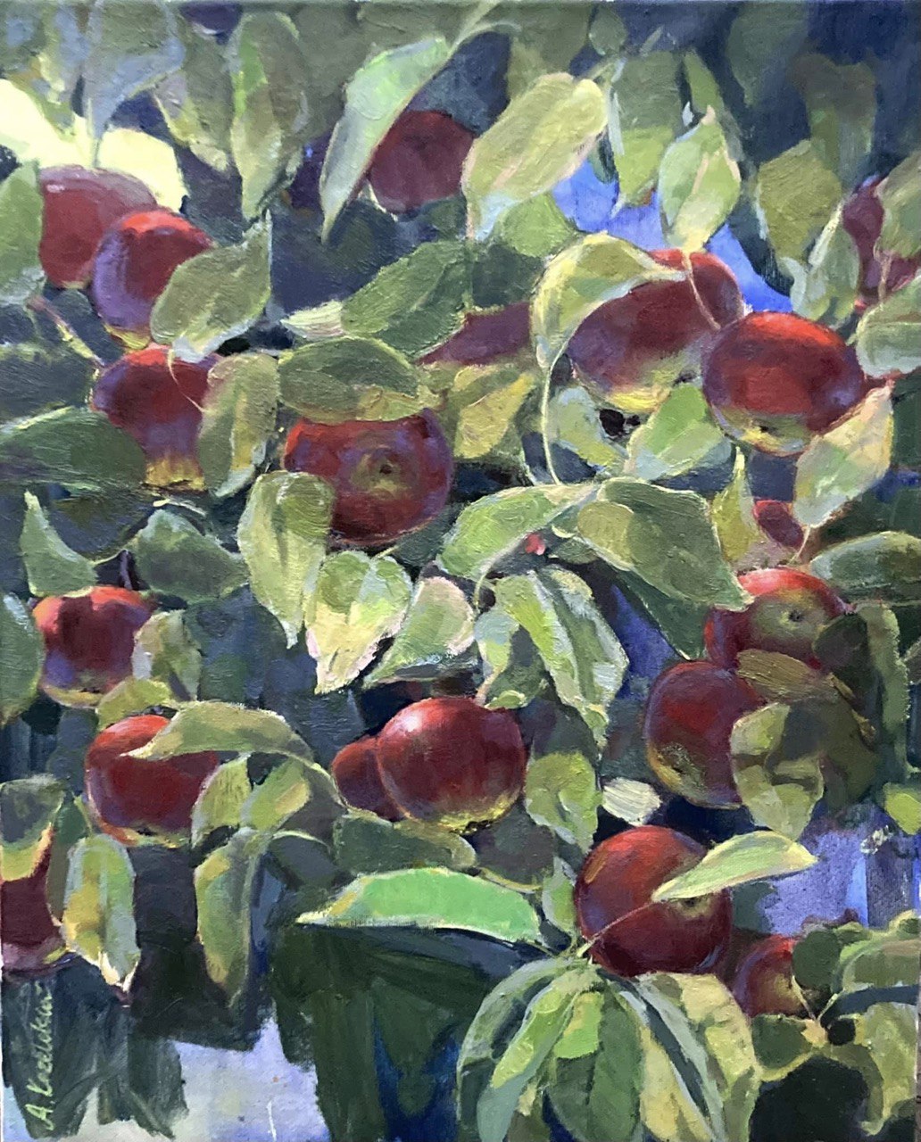 Apple orchard, 2021, 50х40 sm, oil on canvas