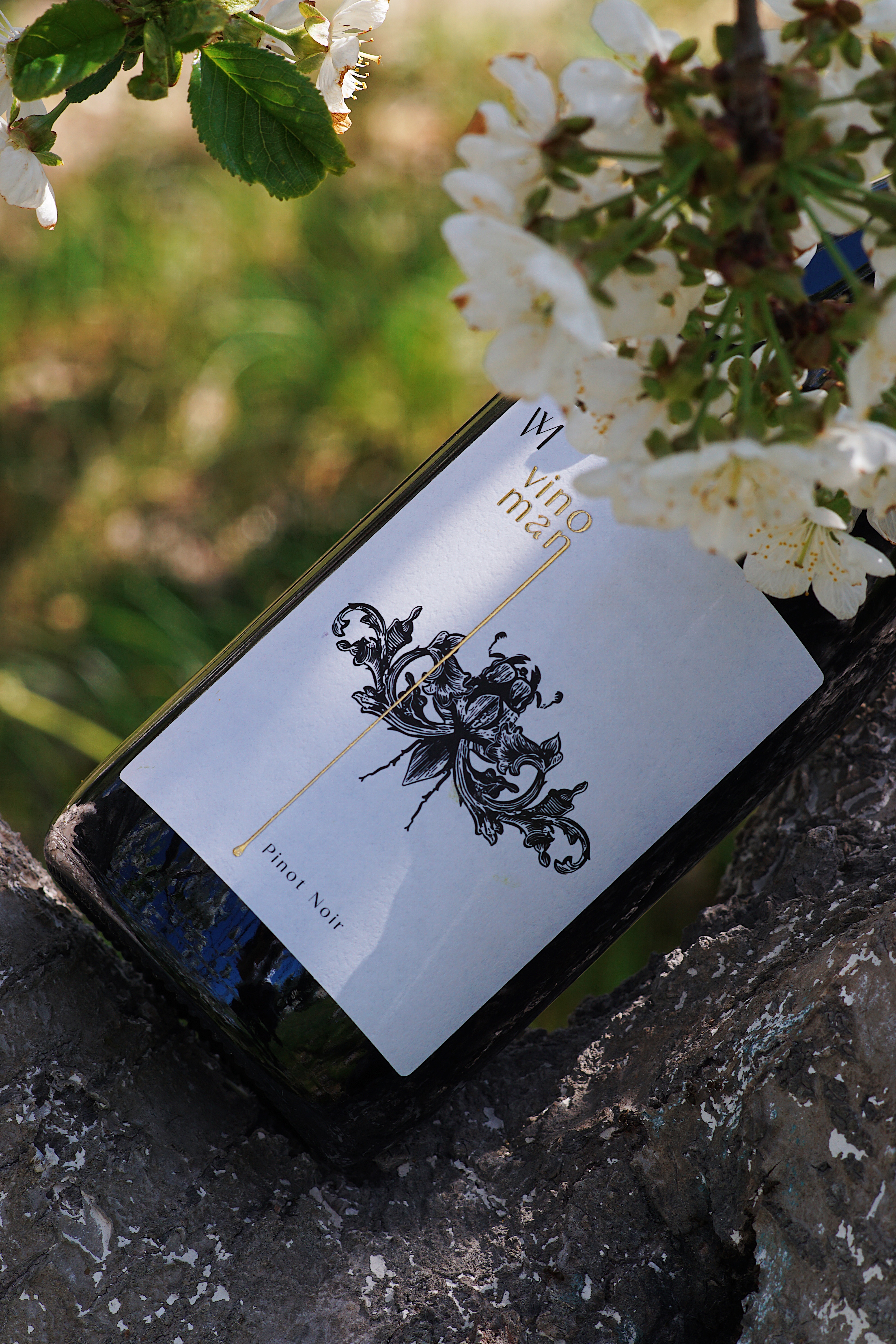 PINOT NOIR reserve 2024