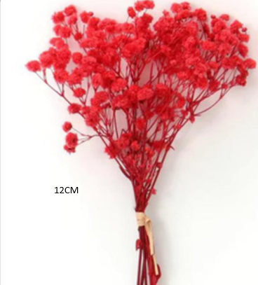 RED (10gm) BABY BREATH DRY FLOWER