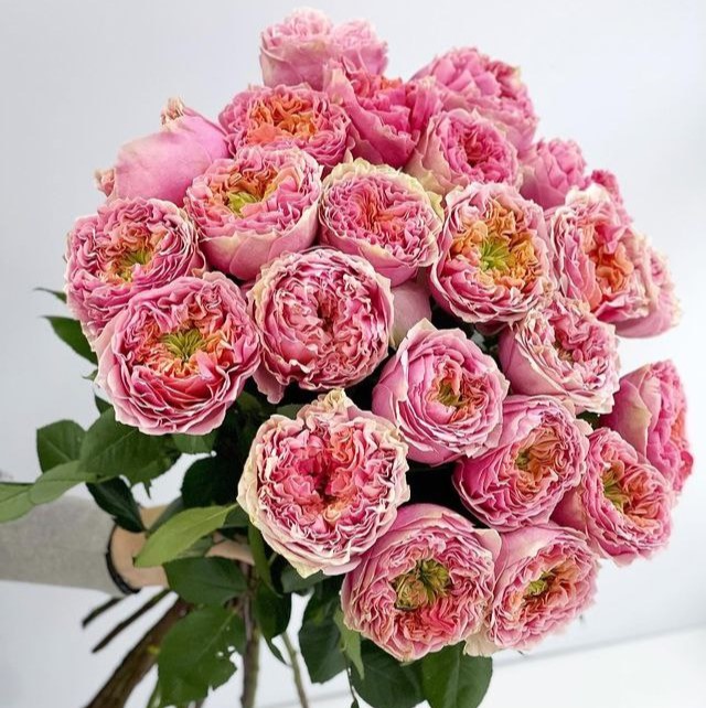 Світ Ай (Sweet Eye)