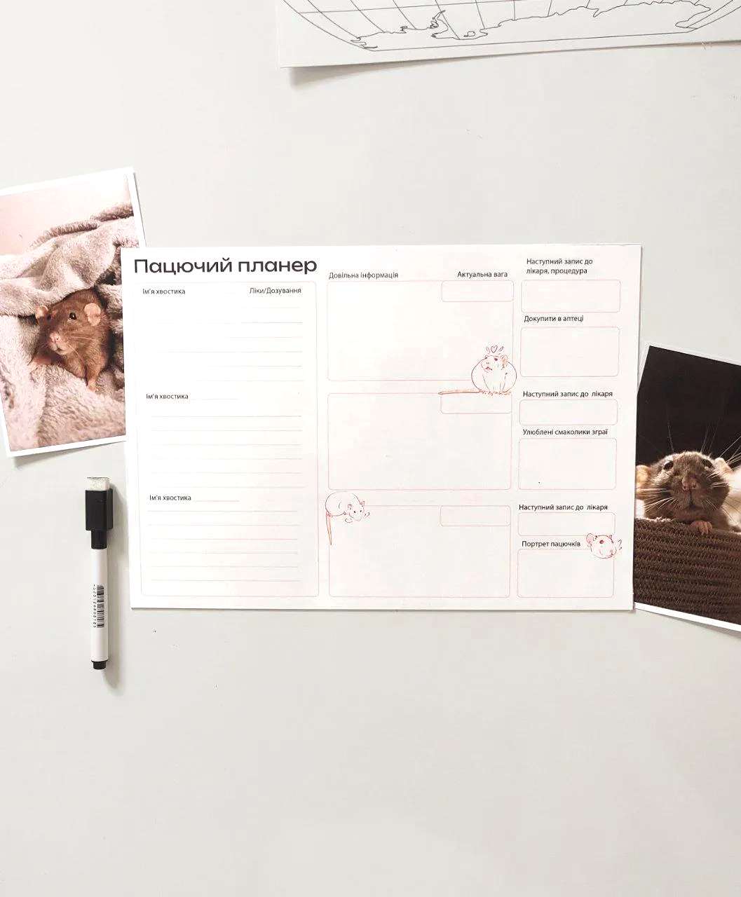 Магнітний Пацючий планер