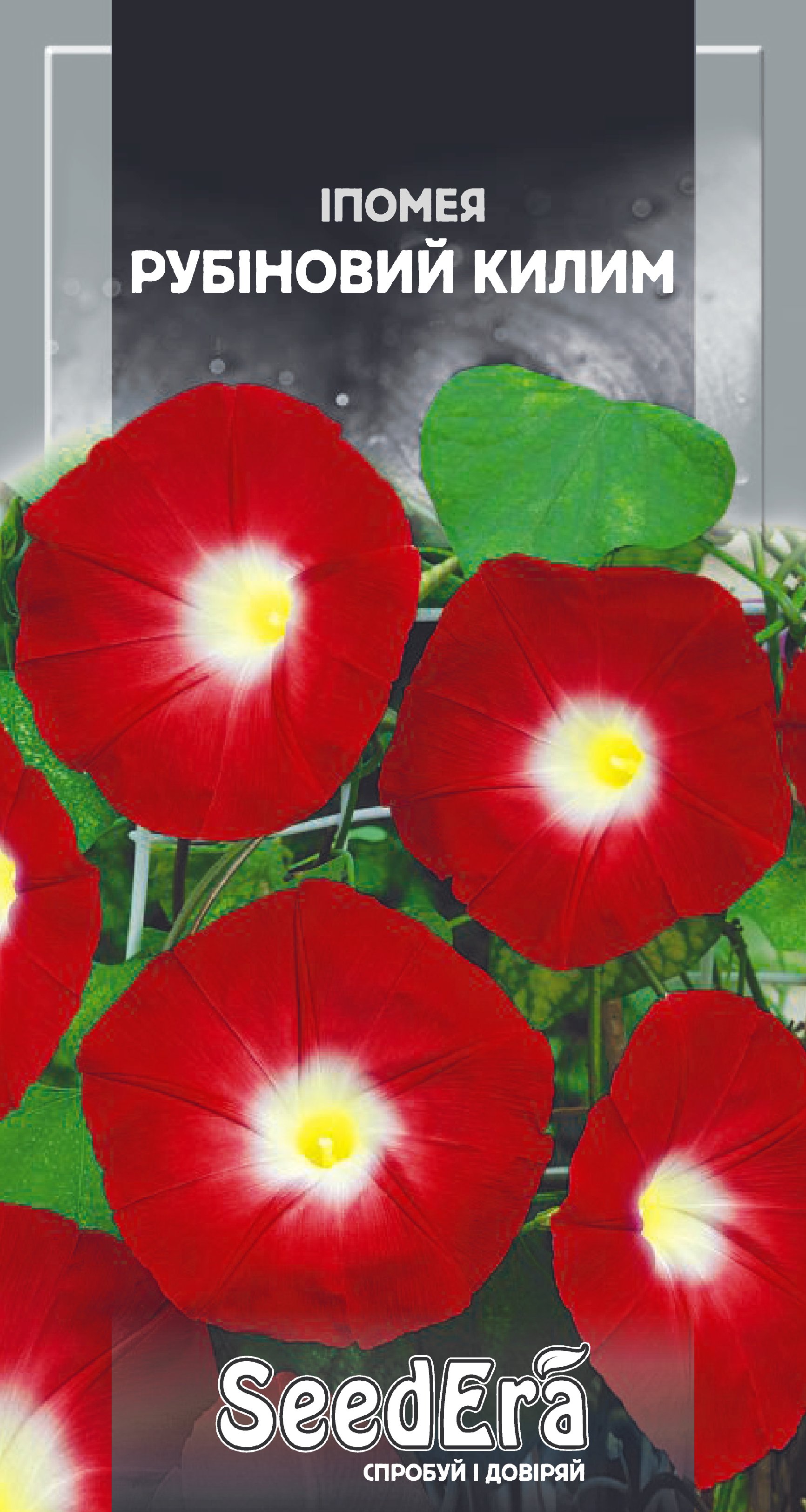 Насіння Квіти Іпомея Рубіновий килим, 0,5 г