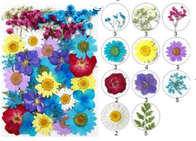 Mix Pressed Flower ( 40 pcs pack )