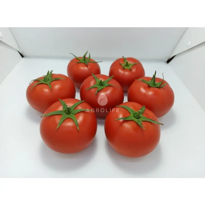 БАНДЕРАС (PL 6212) F1 / BANDERAS (PL 6212) F1 - Томат Индетерминантный, Asia Seed