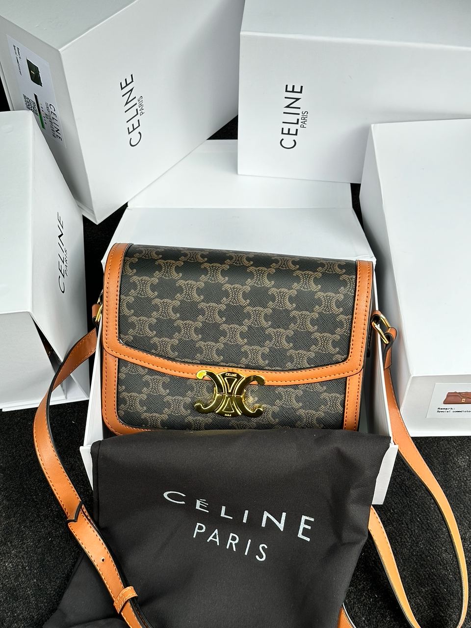 Celine Teen Triomphe Bag in Triomphe Canvas And Calfskin