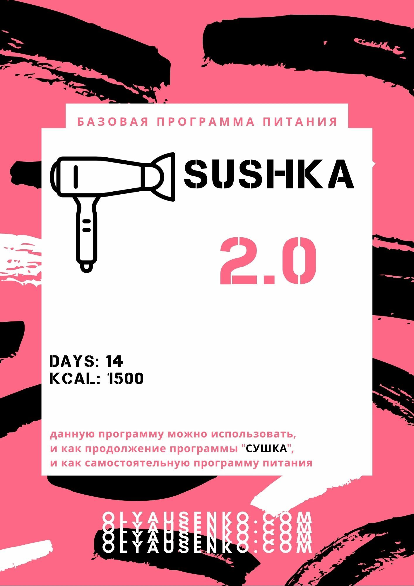 SUSHKA 2.0