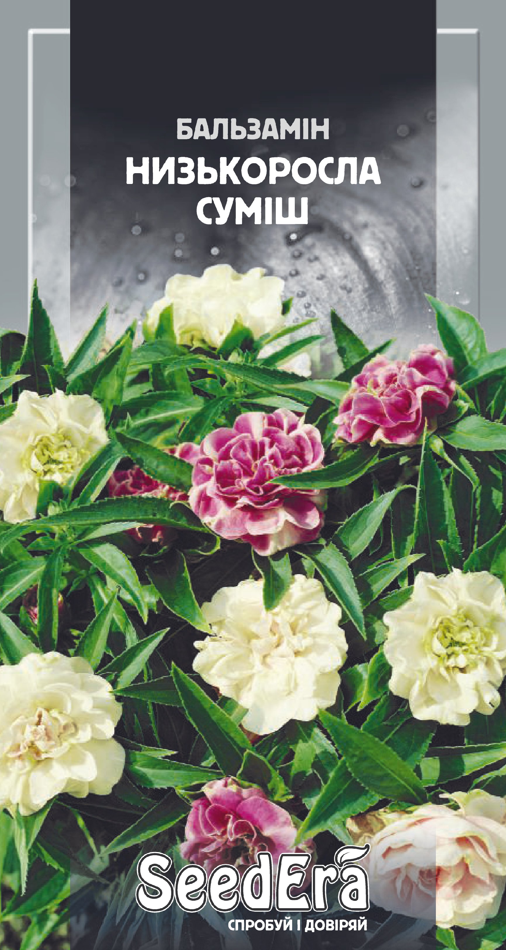 Насіння Квіти Бальзамін Низькоросла суміш, 0,5 г.