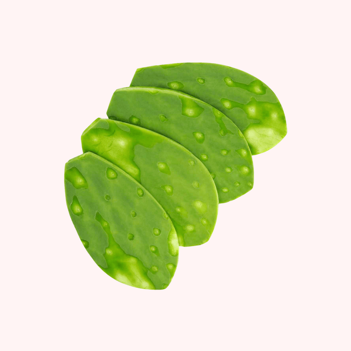 Nopal  Entero